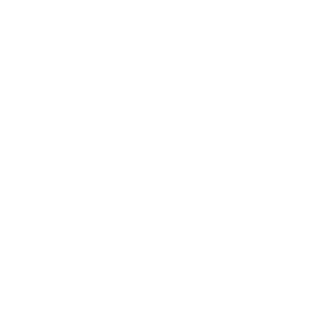 Rintisa